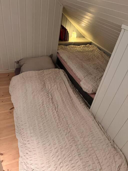 Tromso's Location? & Nature 5 Mins Away. Holiday home